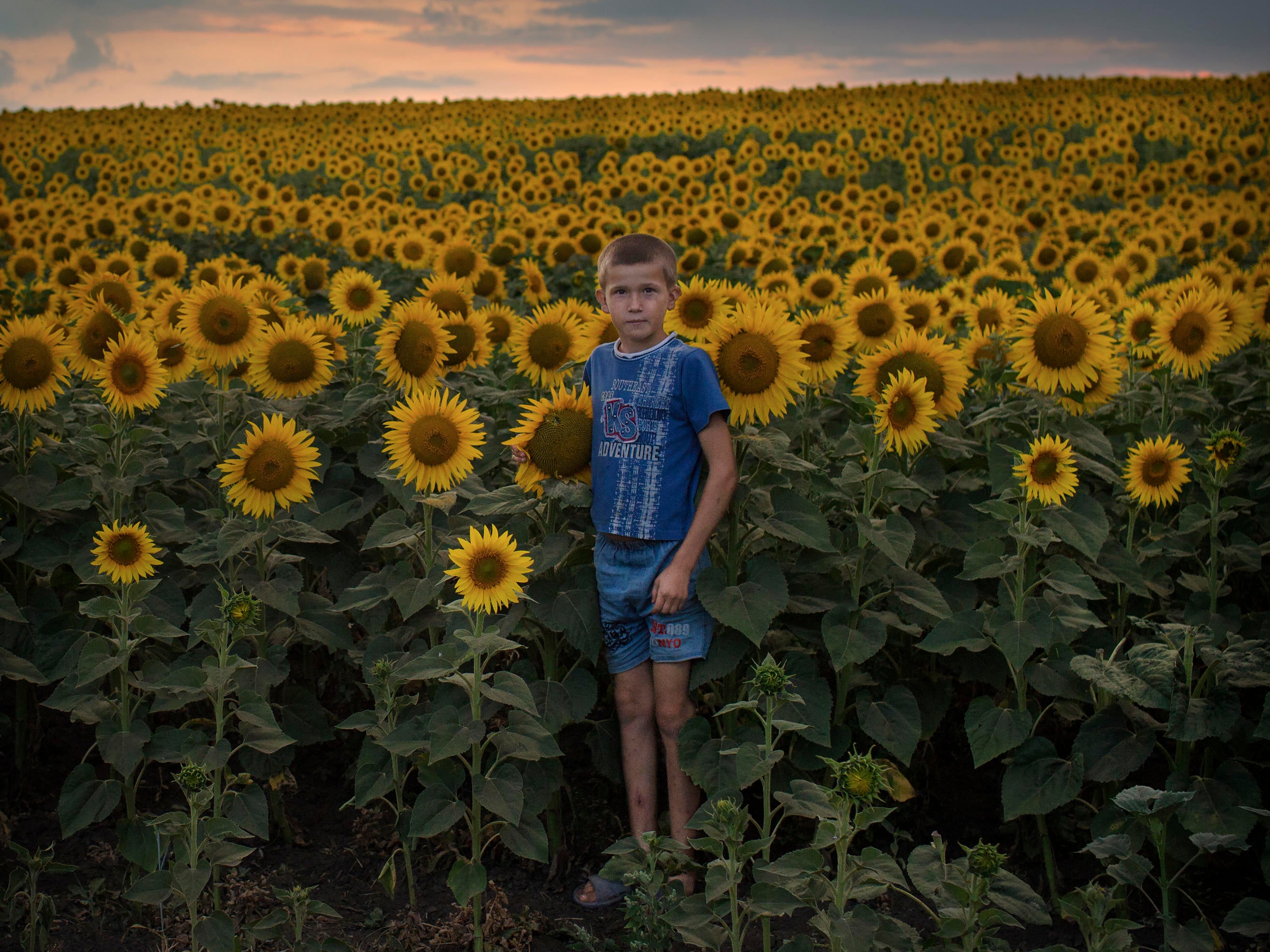 Åsa Sjöström’s Affinity with Adversity