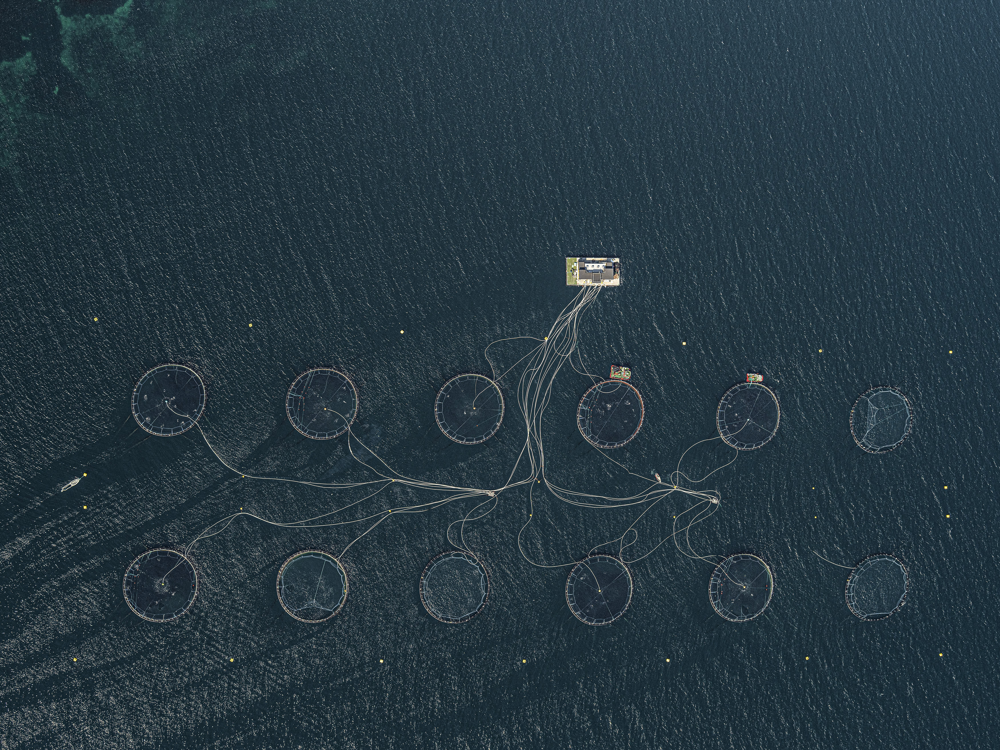 The mind-broadening photo art of Bernhard Lang