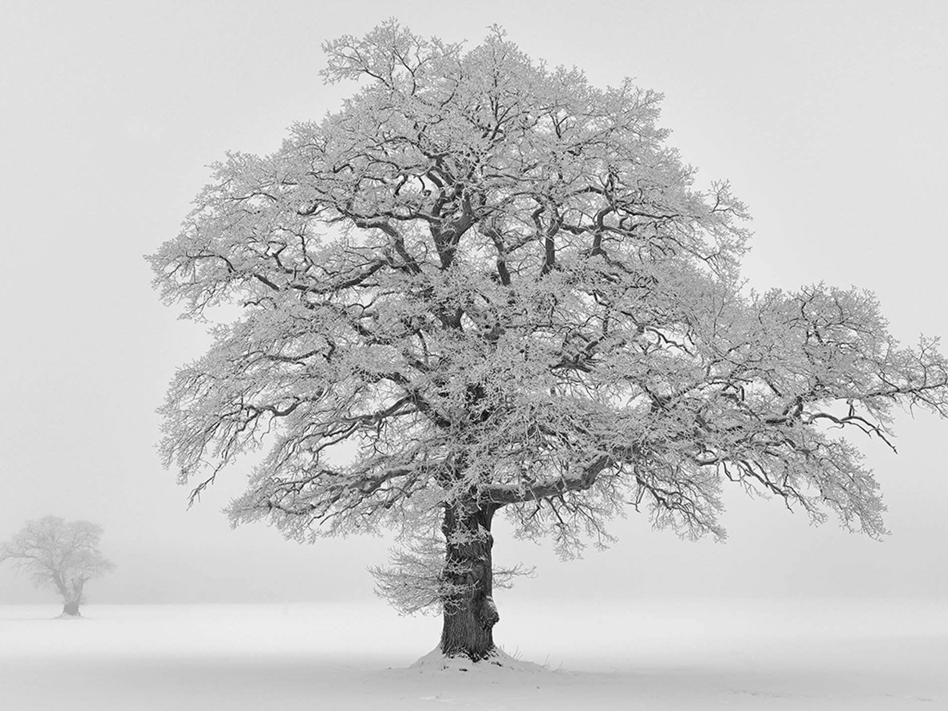 Hans Strand on Using World-renowned Landscapes to Address Climate Change