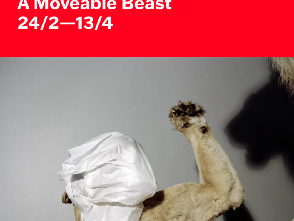 Relocating Natural History