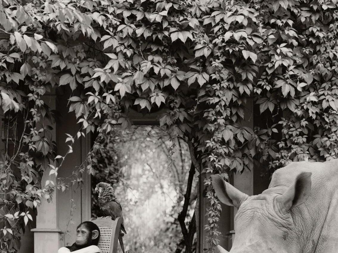 "It’s such a great location with a huge and beautiful exhibition space"