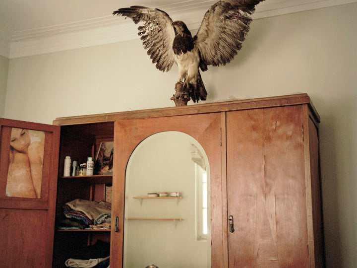 Nature and Its Unexpected Facets