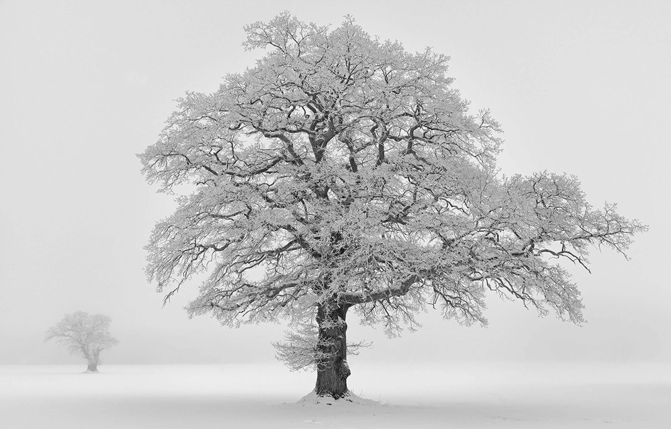 Hans Strand on Using World-renowned Landscapes to Address Climate Change