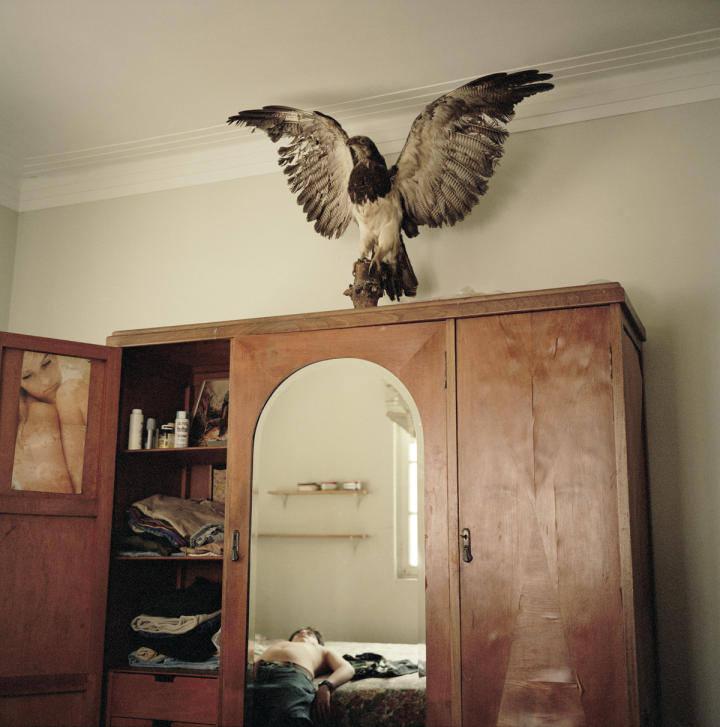 Nature and Its Unexpected Facets