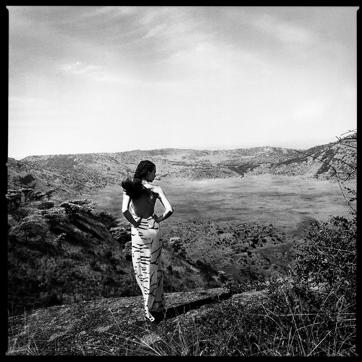Safari Crater, Frances Sprei, 2002