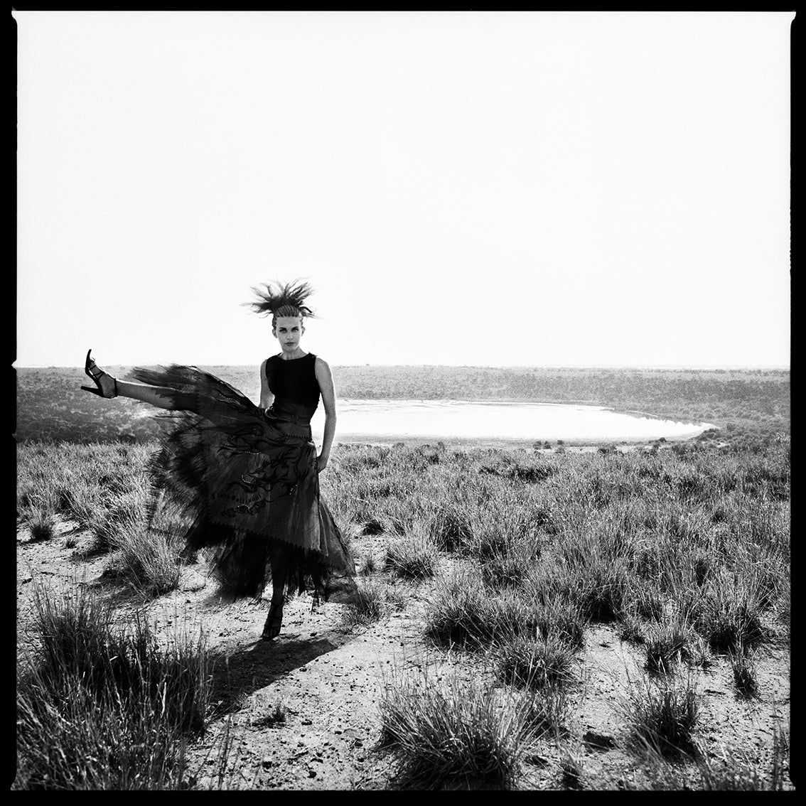 Safari Jumping Frances Sprei, 2002