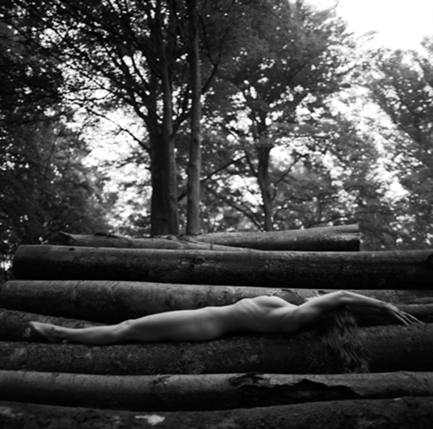 Tree of Life, Woodpile 1, 2006