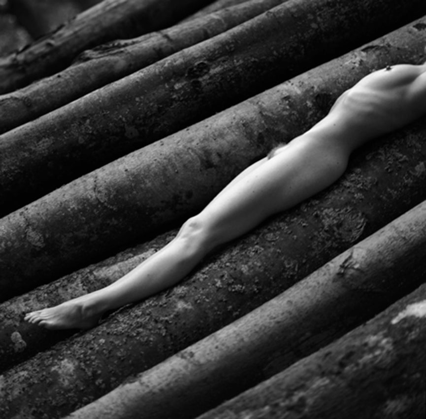 Tree of Life, Woodpile 11, 2006