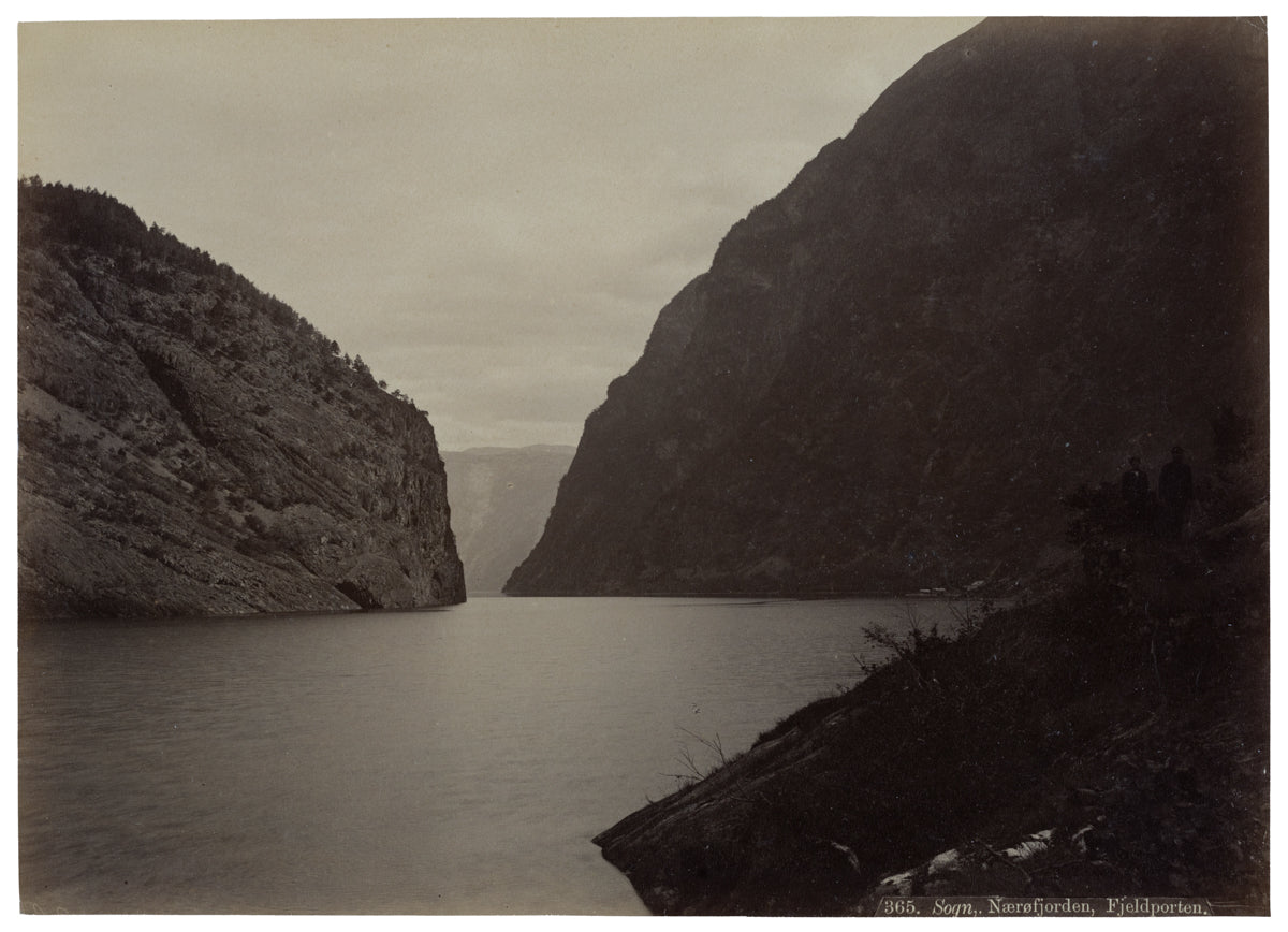 #365, Sogn, Naerøfjorden, Fjeldporten, Norge