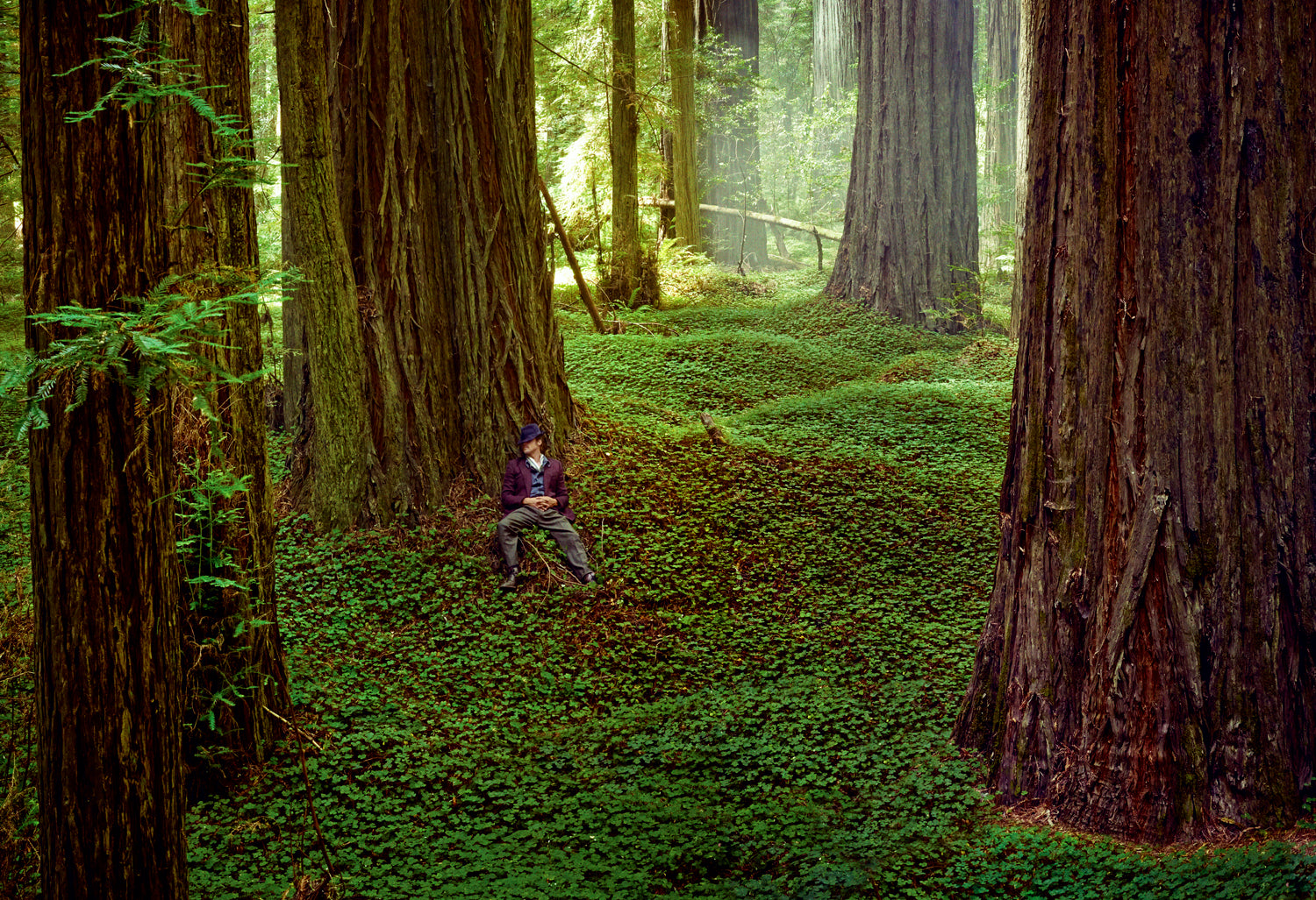 Brad Pitt, Humboldt, CA, 2014