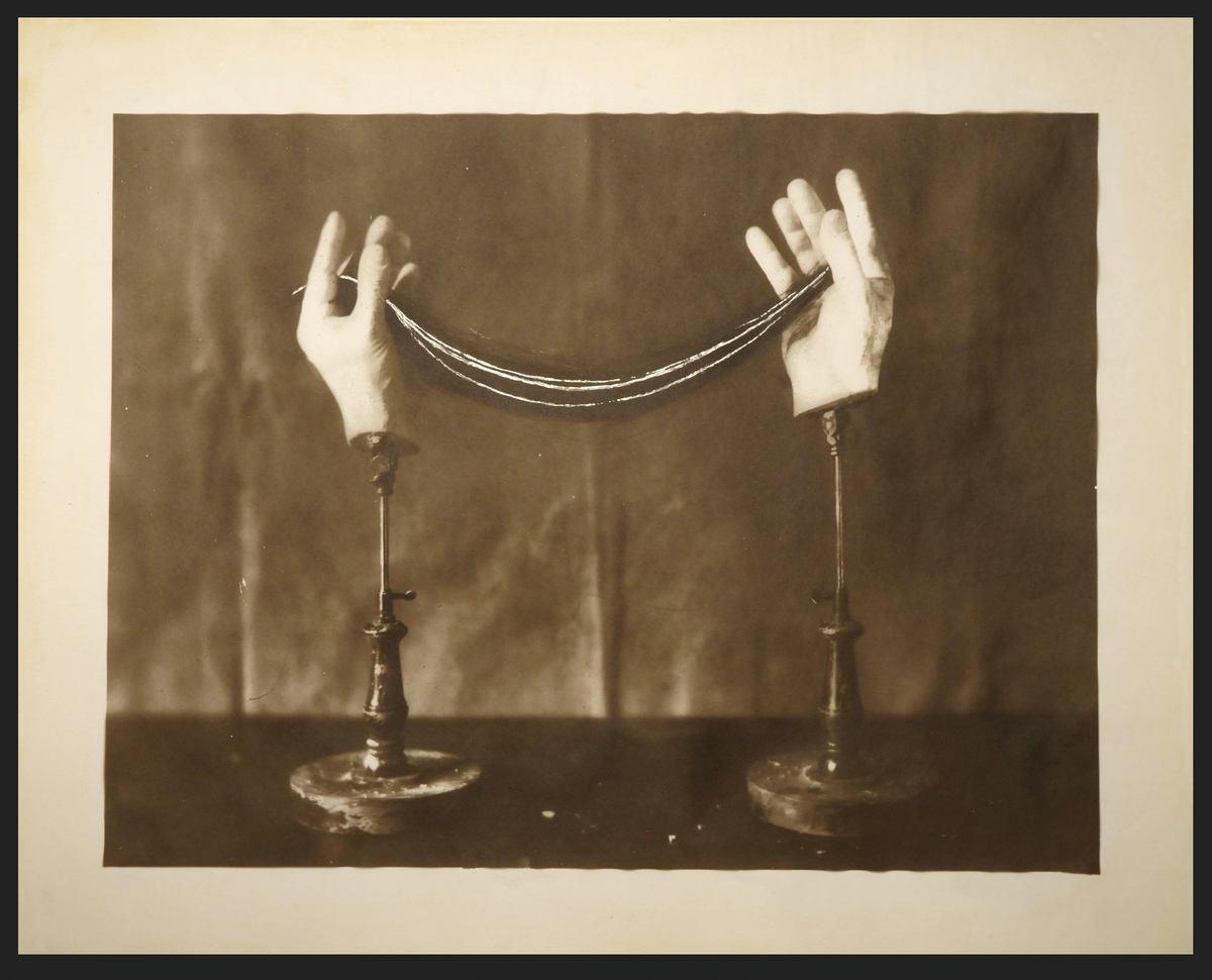 Dan Estabrook