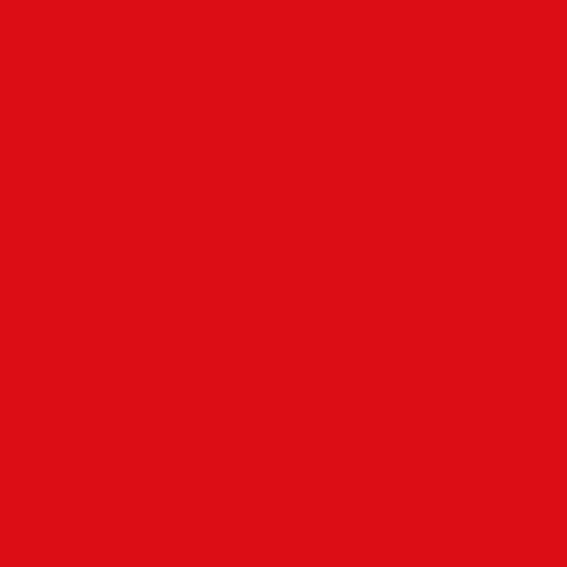 Logo ruta red kopia