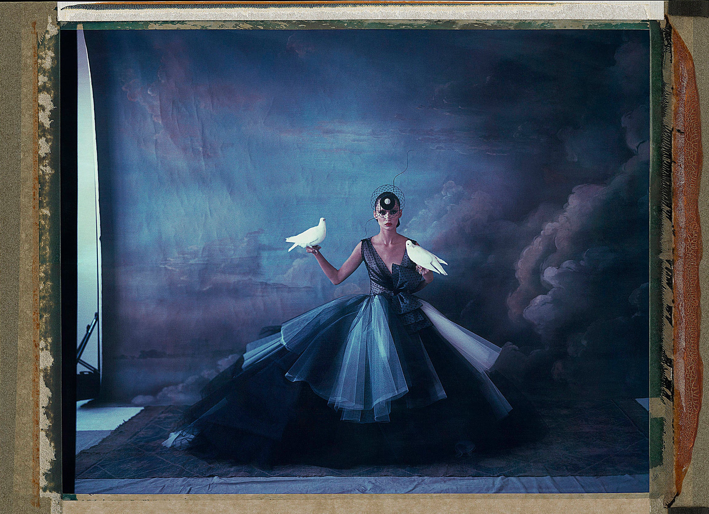 Noah’s Ark XIII (8)