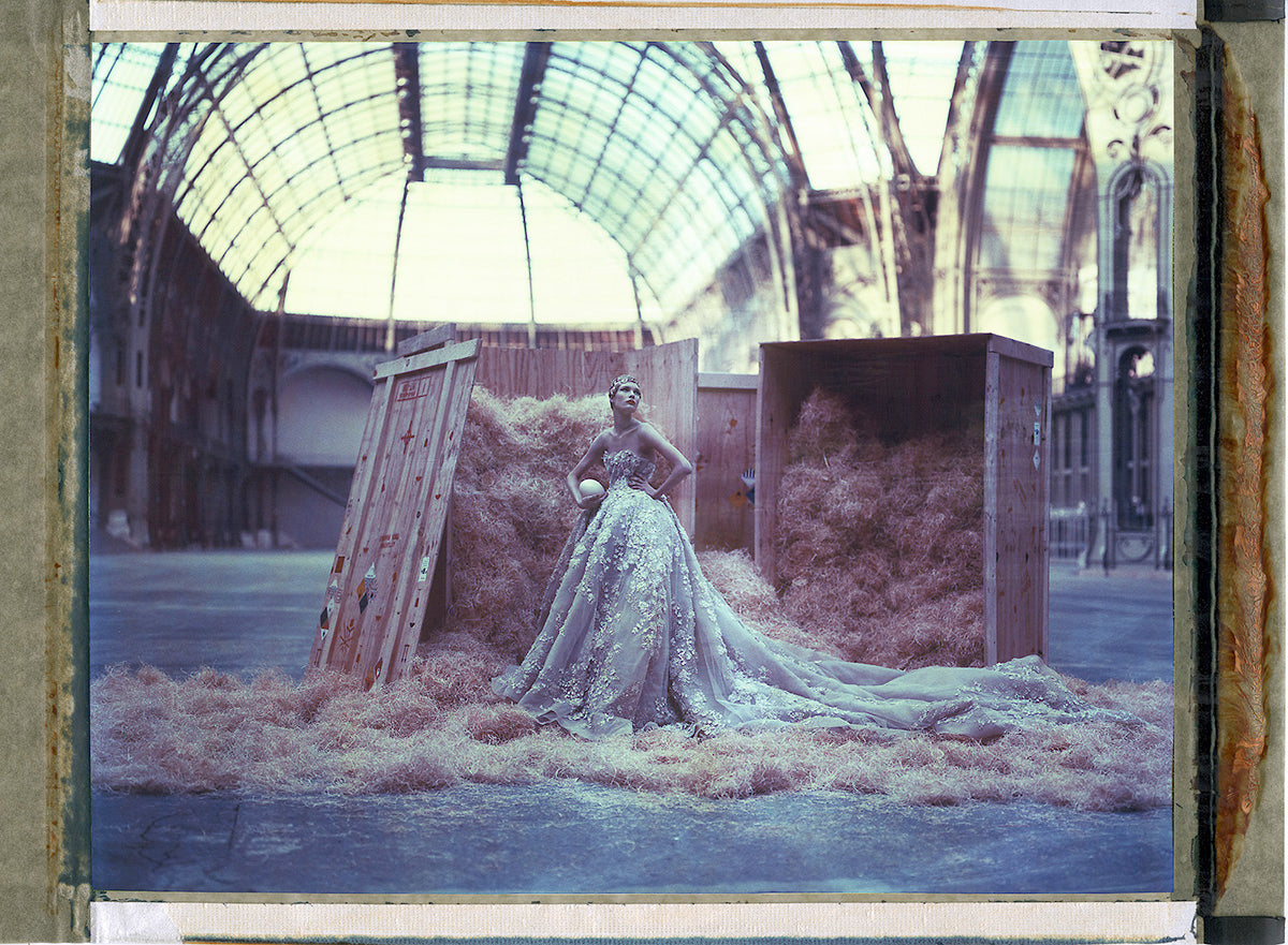 Noah’s Ark XLIII (43)