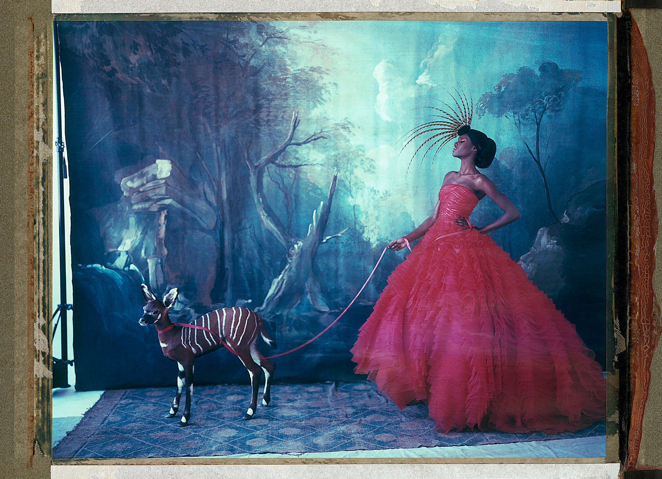 Noah’s Ark XVII ( 17)