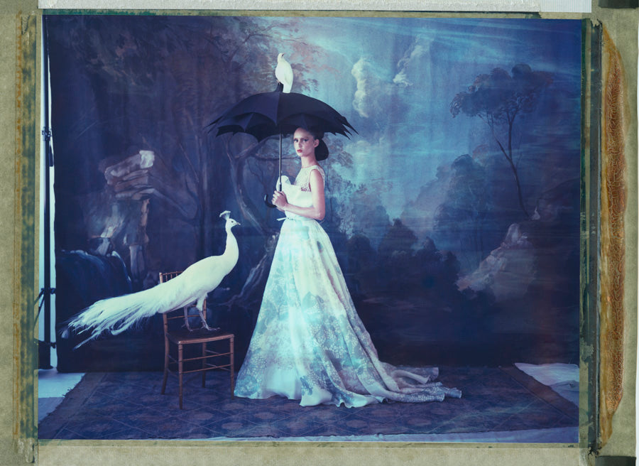 Noah’s Ark XXIII (23)