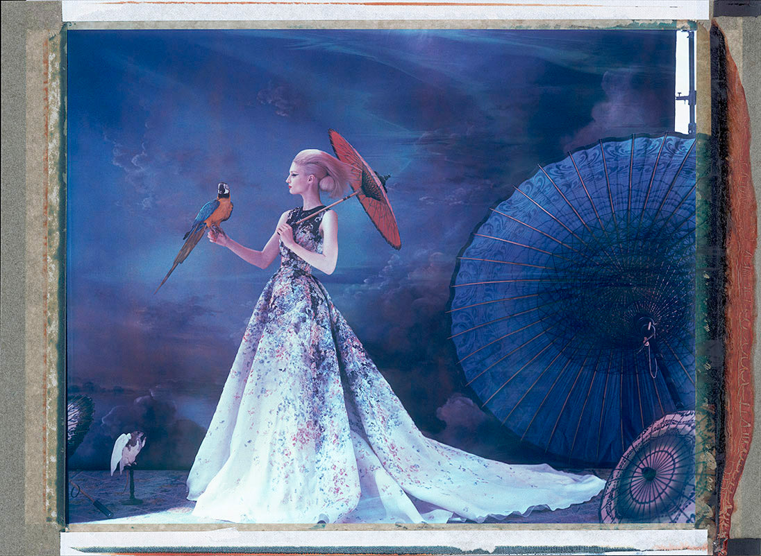 Noah’s Ark XXXIII ( 33)