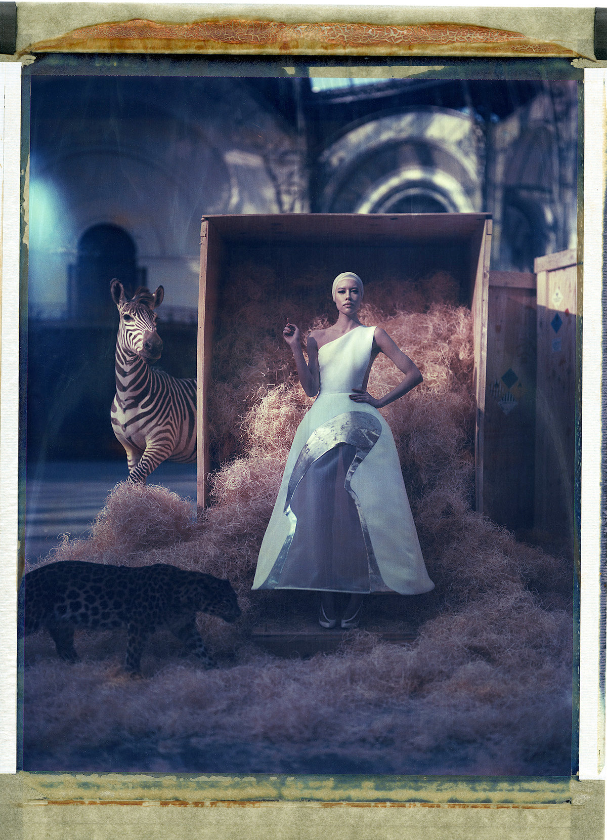 Noah’s Ark XXXIX (39)