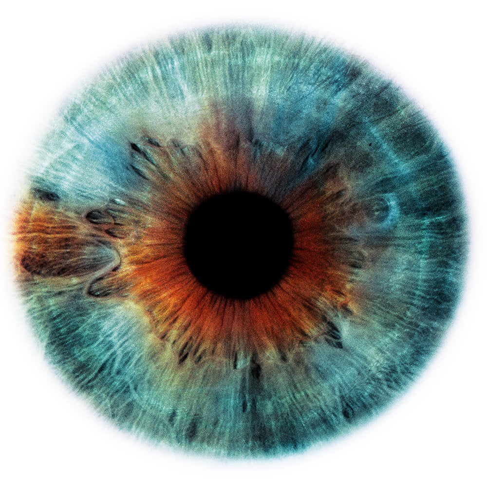 Angela “Eyescape” 2007