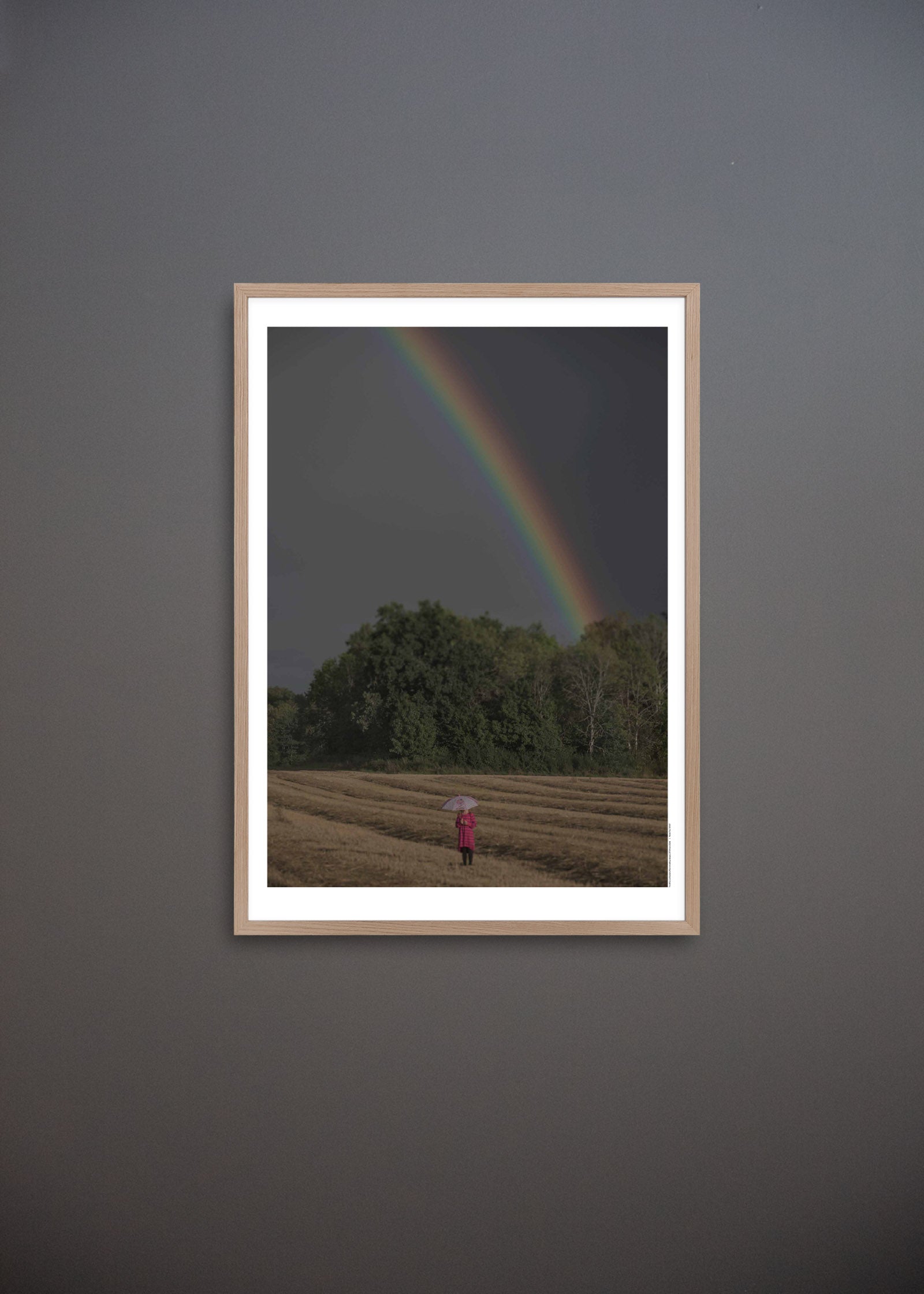 The Girl by the Rainbow “When everything changed”