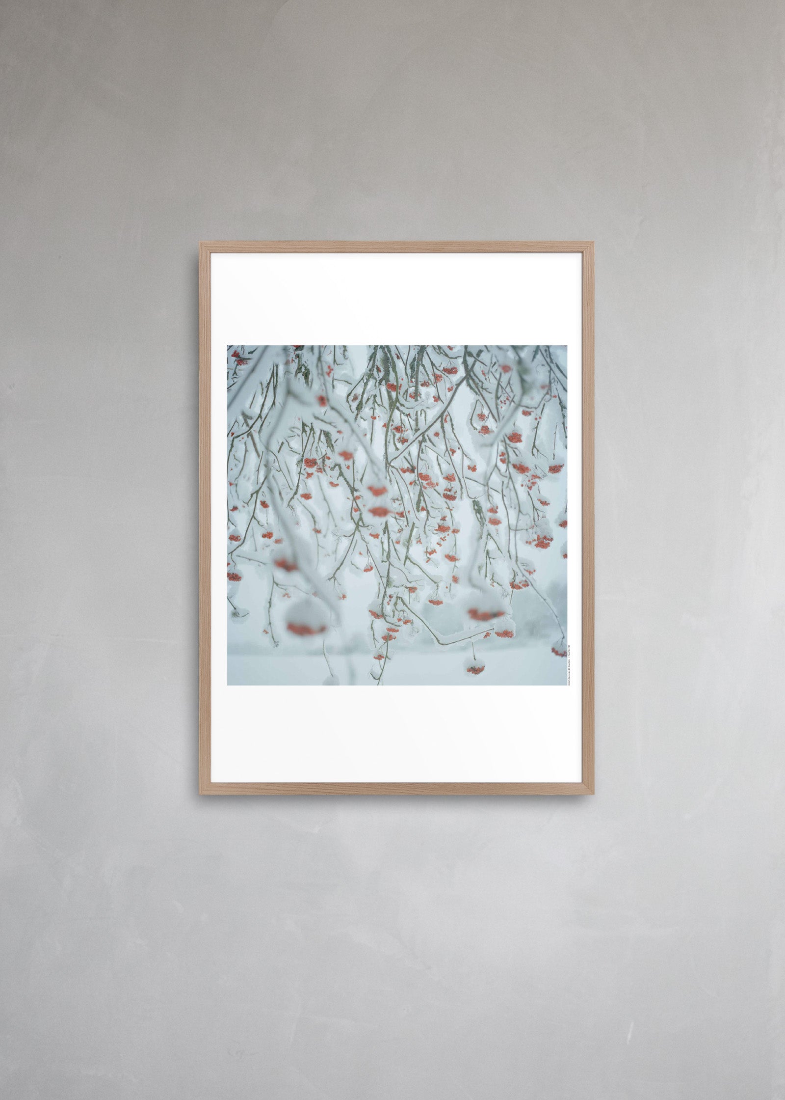 Untitled #4 “Close to home”