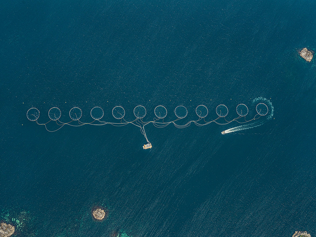 AV  Fishfarms  Norway  002