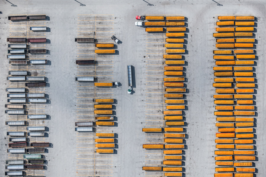 AV_Florida_Orange_Harvest