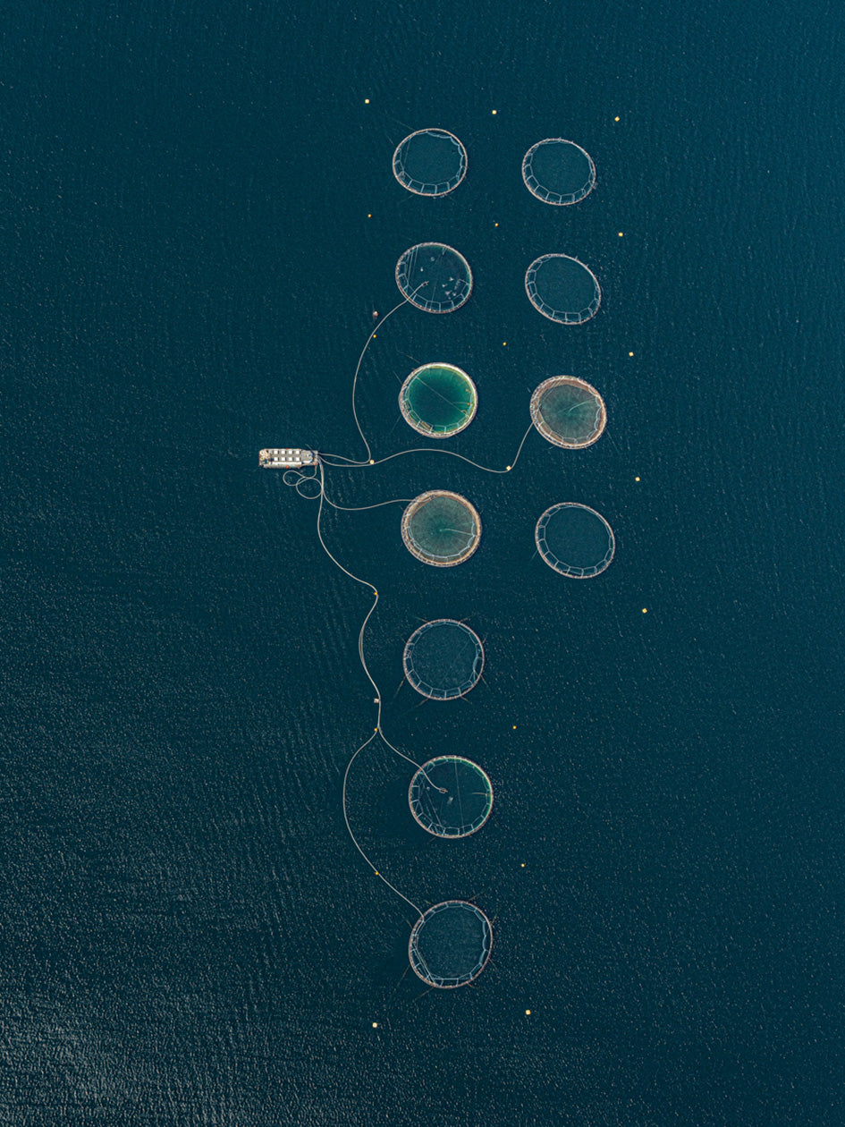 AV Norwegen Fischfarms 012