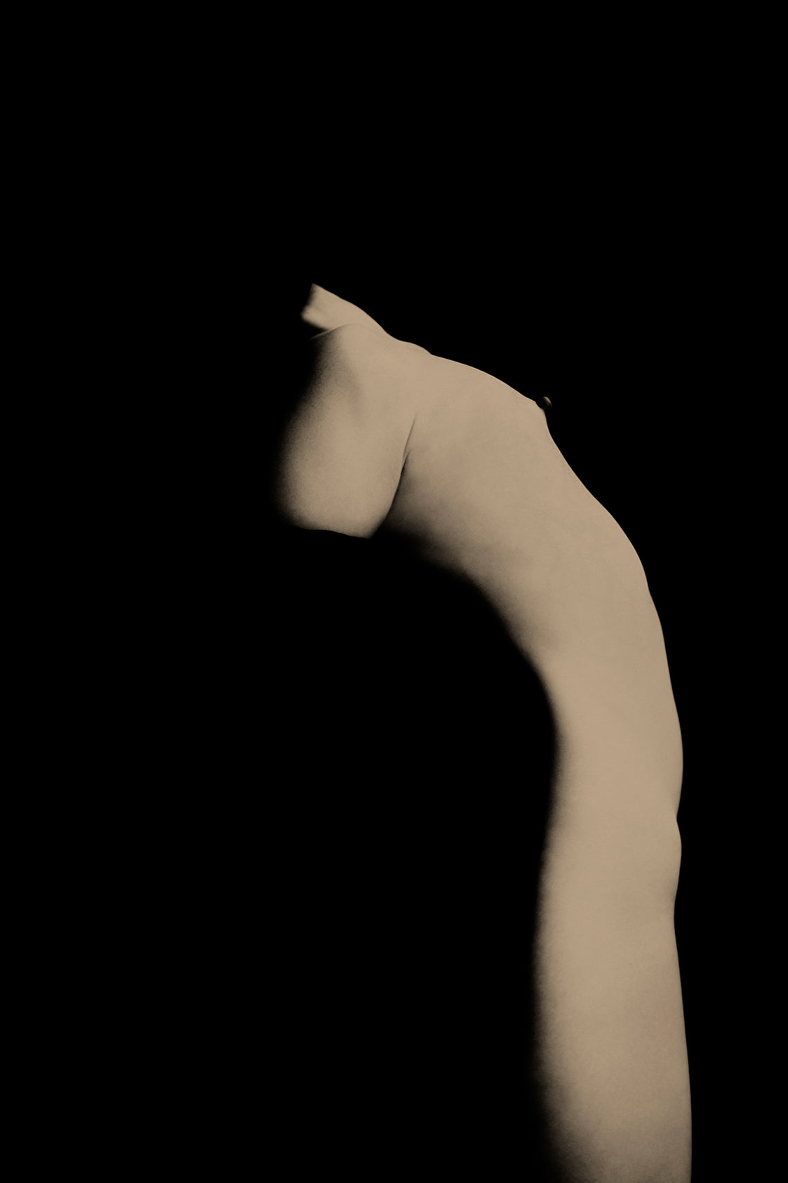 Breathing in the Dark “In the Absence of Eye”, 2019