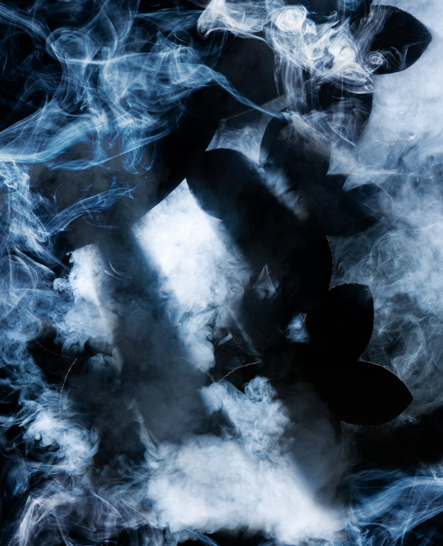 From the serie: Single Shot. #18