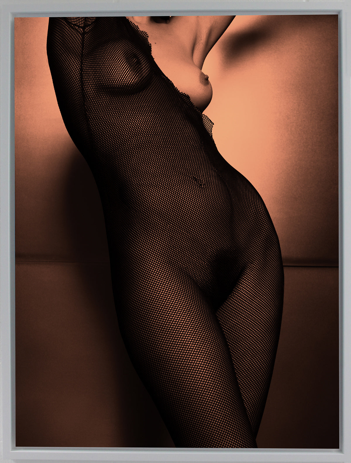 Helena Noguerra, Netting, Plate 2 Paris 2009