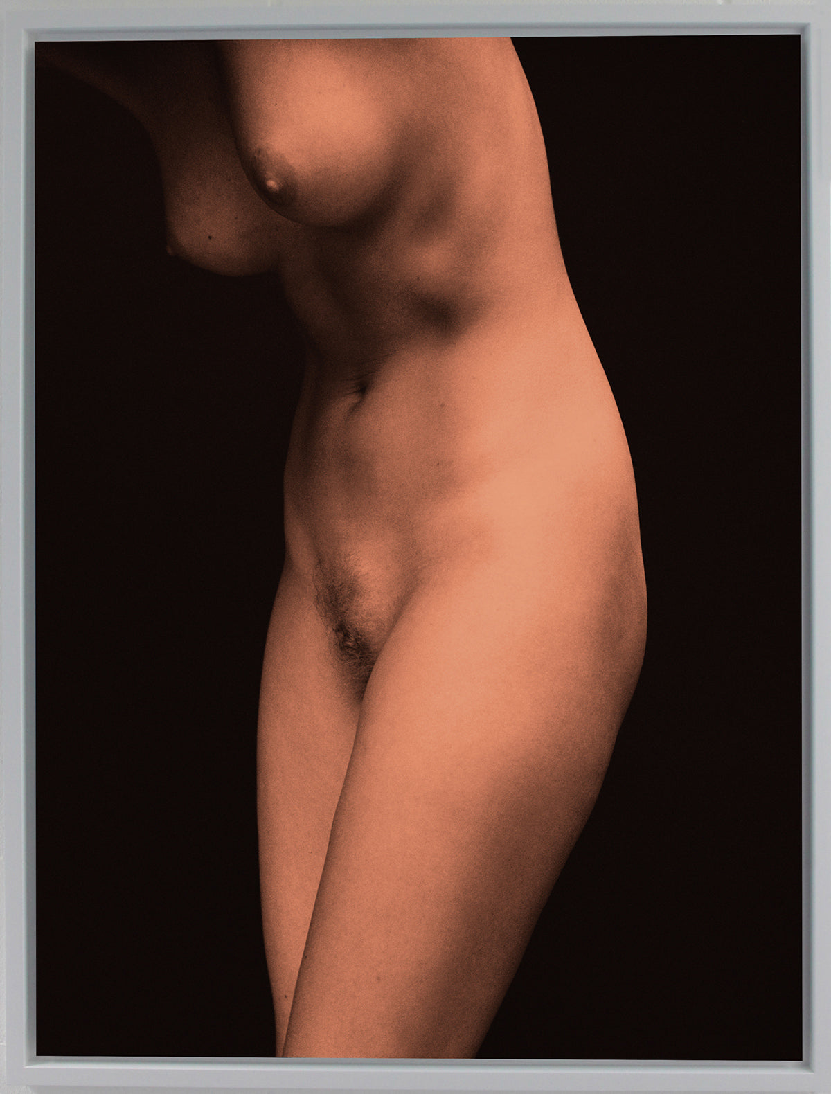 Torso Plate 1, London 2000