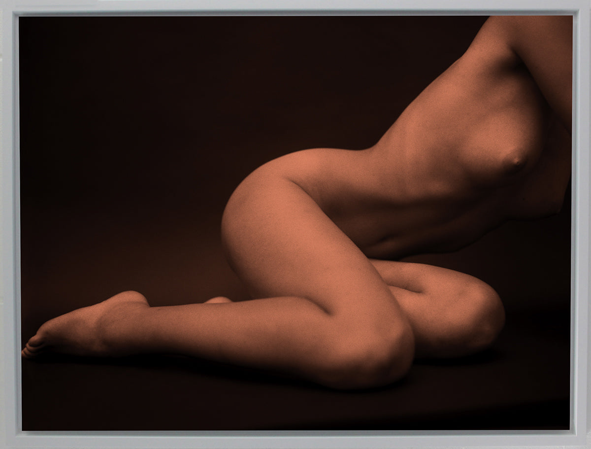 Torso Plate 2, London 2000