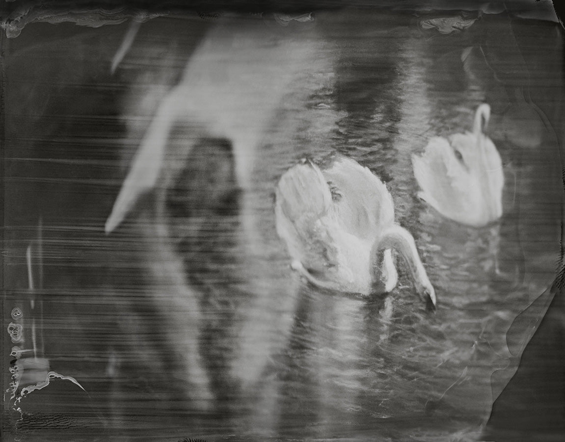 Peace “Undertow”, Sweden 2017