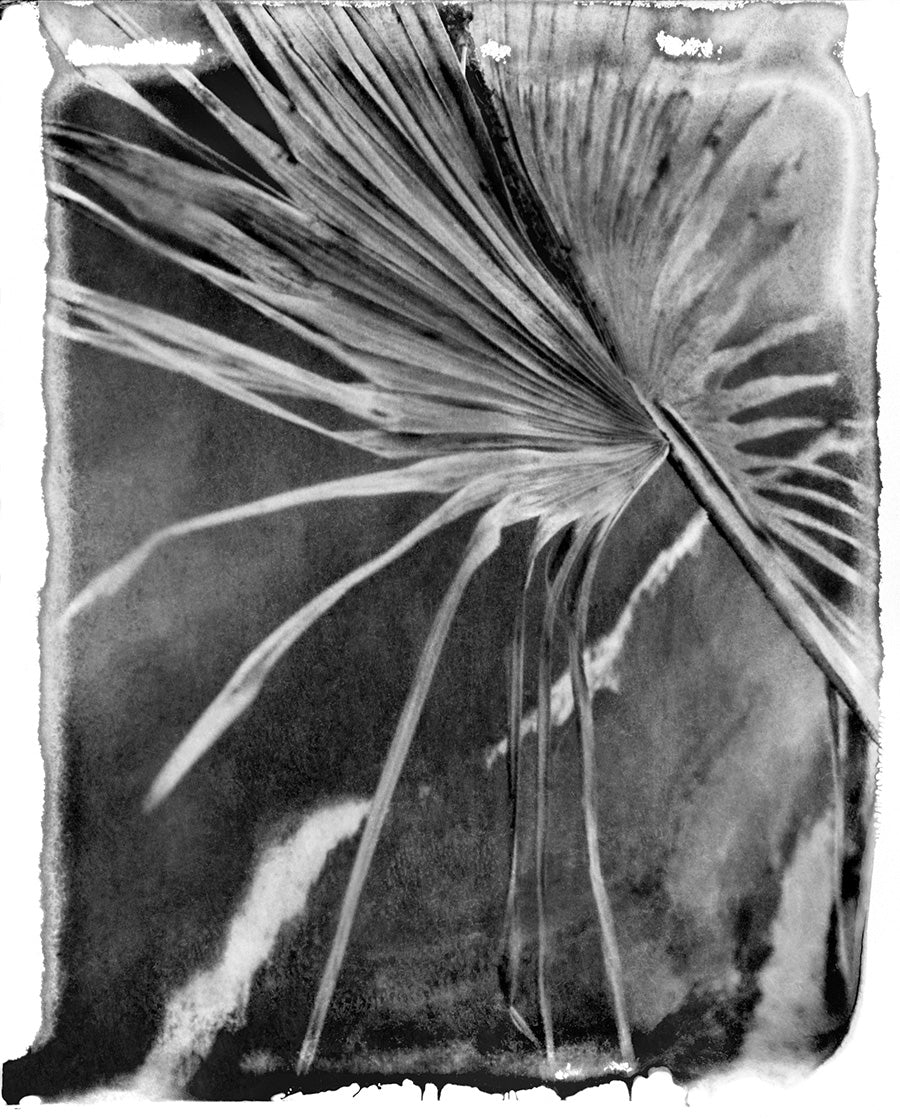 Karma “Undertow”, Morocco 2018