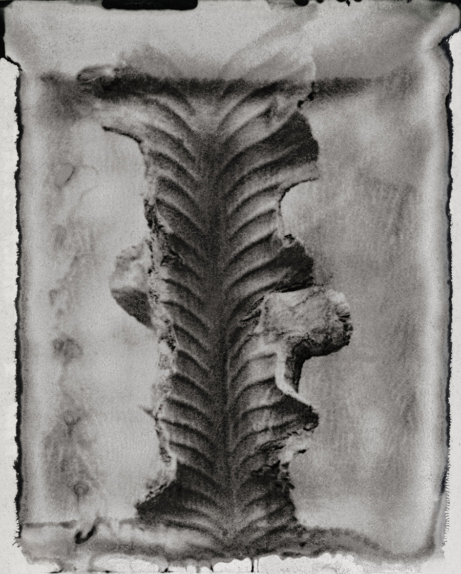 Green Ridge “Undertow”, Morocco 2018