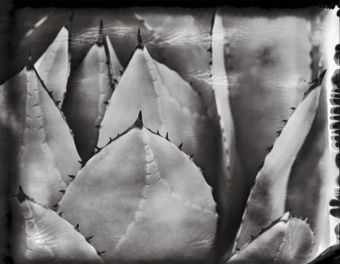 Thom “Undertow”, Marrakech 2018