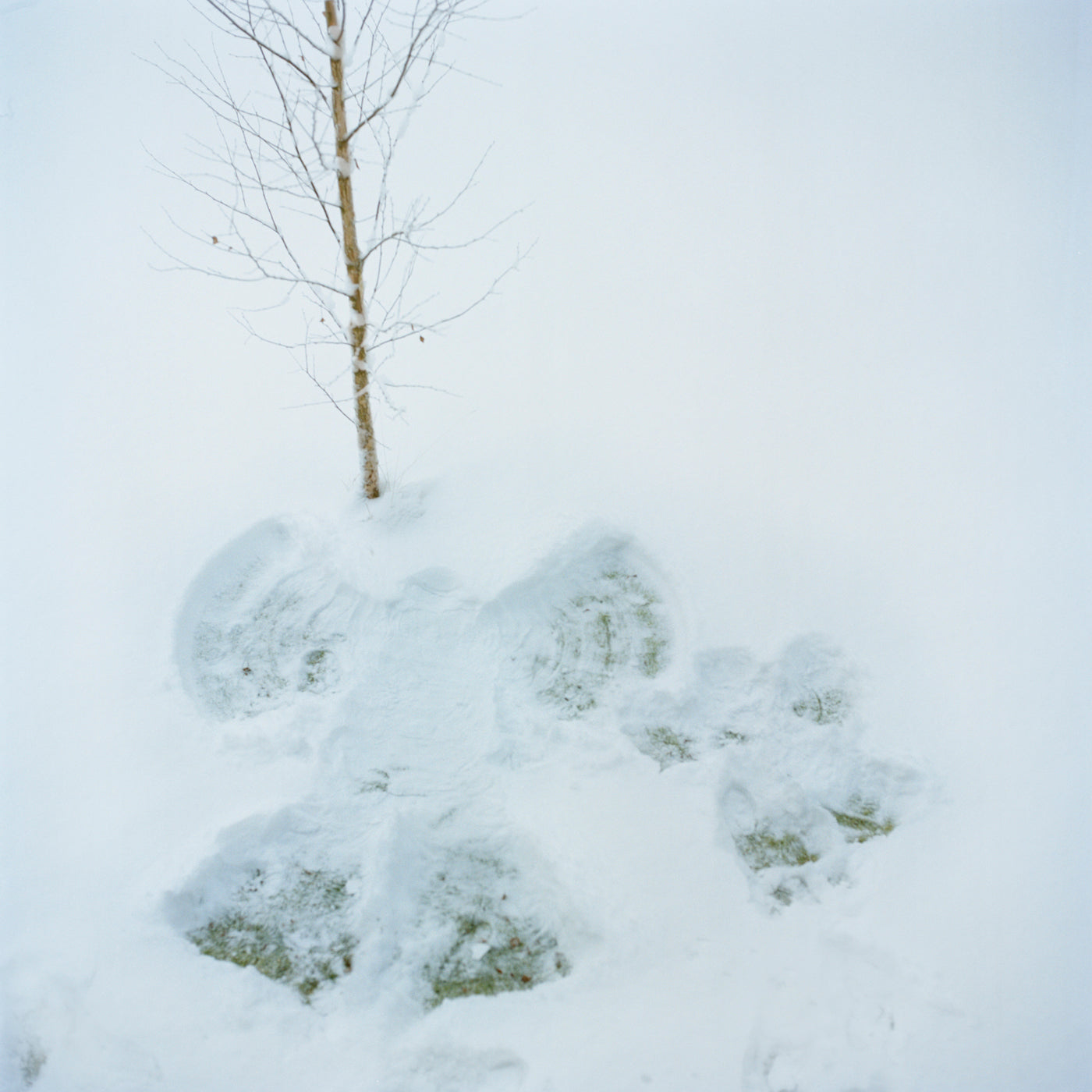 Untitled #12 “Close to home” 2013