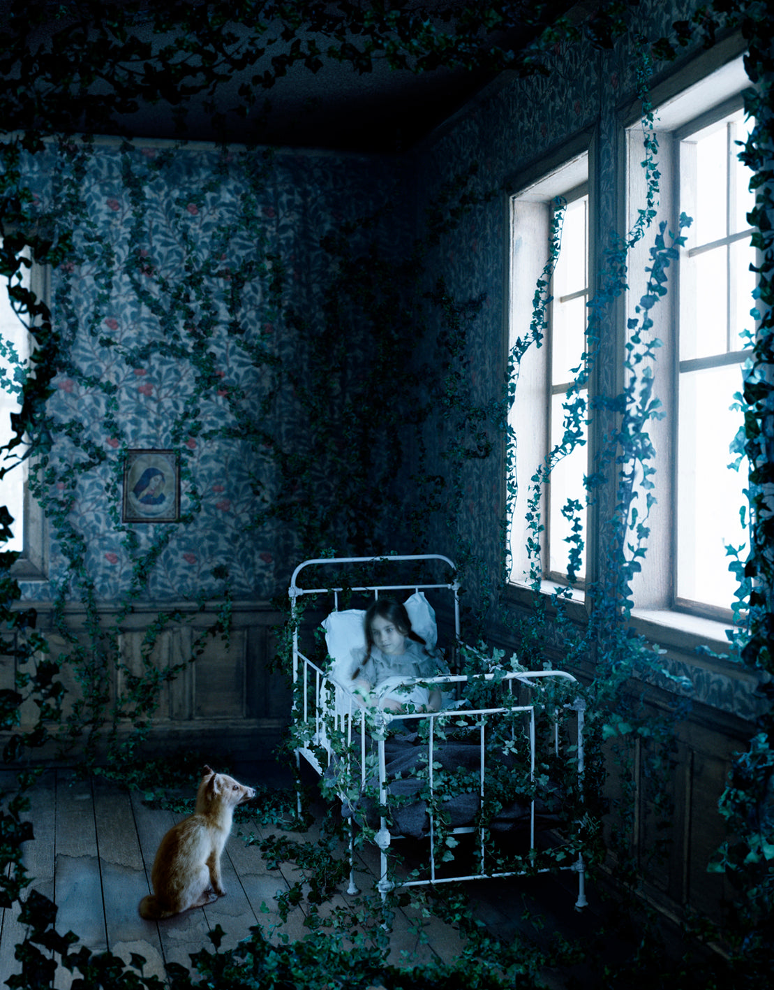 The Ivy room “The Elephant Girl”, 2011