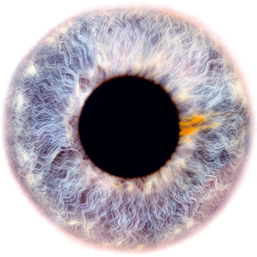 Dilation “Eyescape” 2012