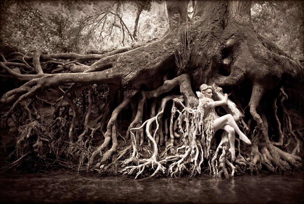 Dryad (2009)
