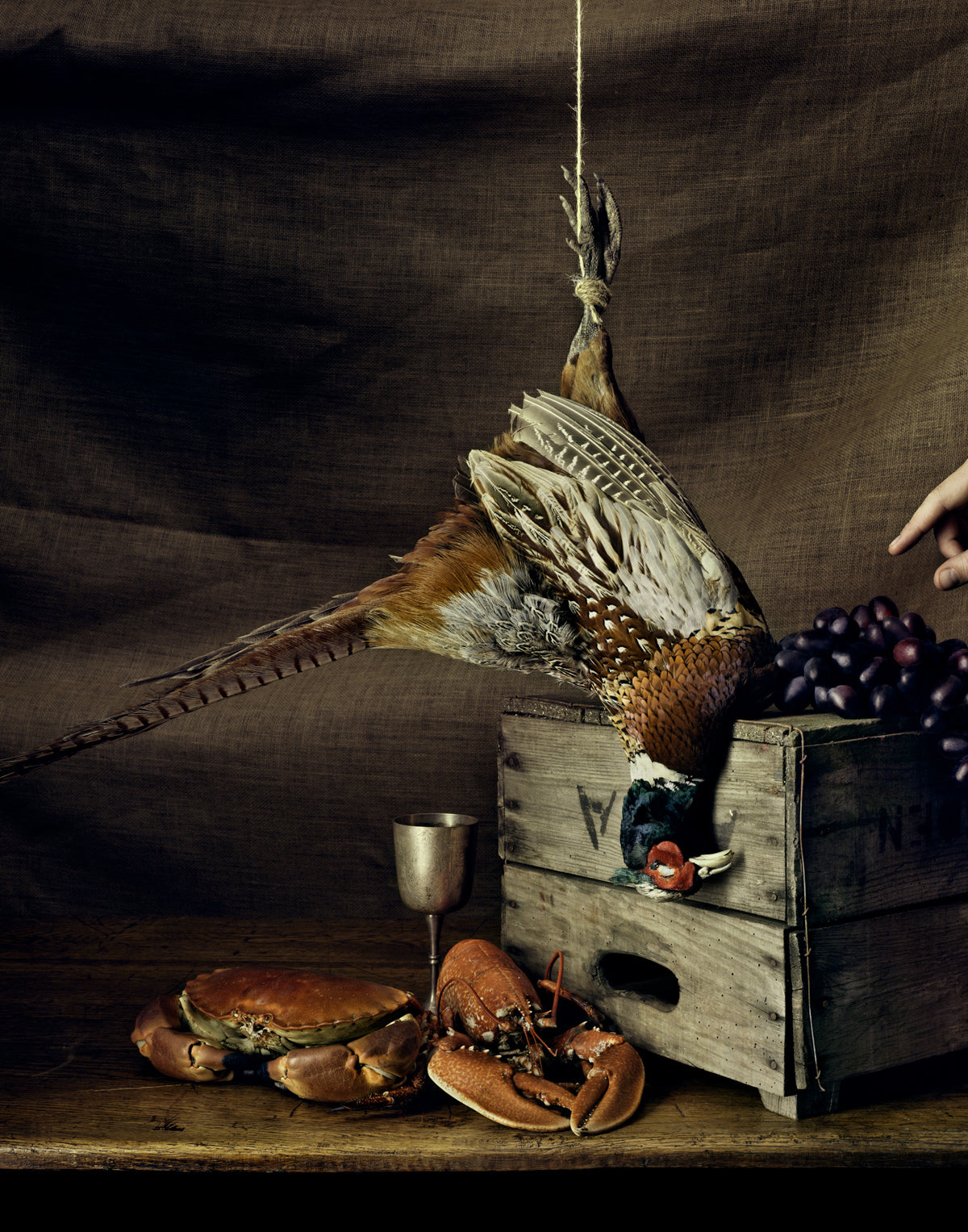 DUTCH STILL LIFE WITH BEN