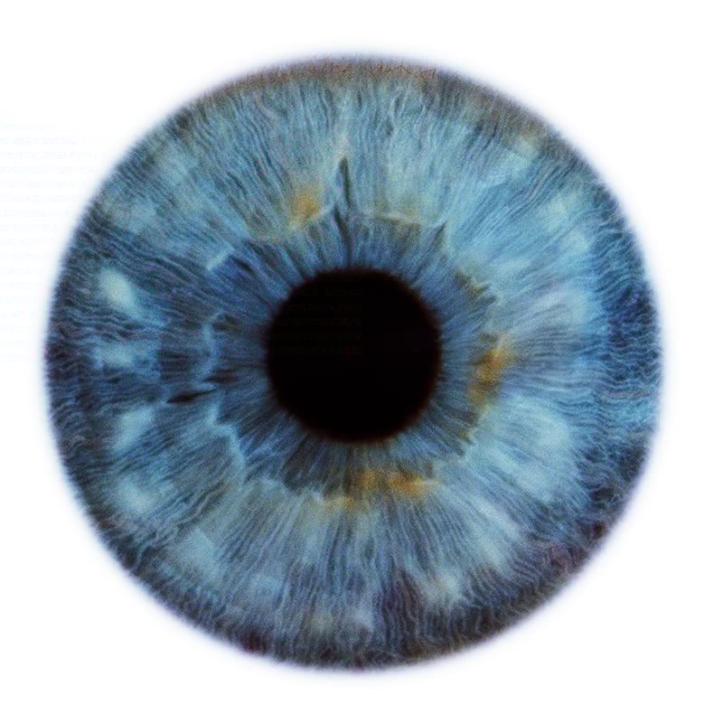 Dark Blues “Eyescape” 2012