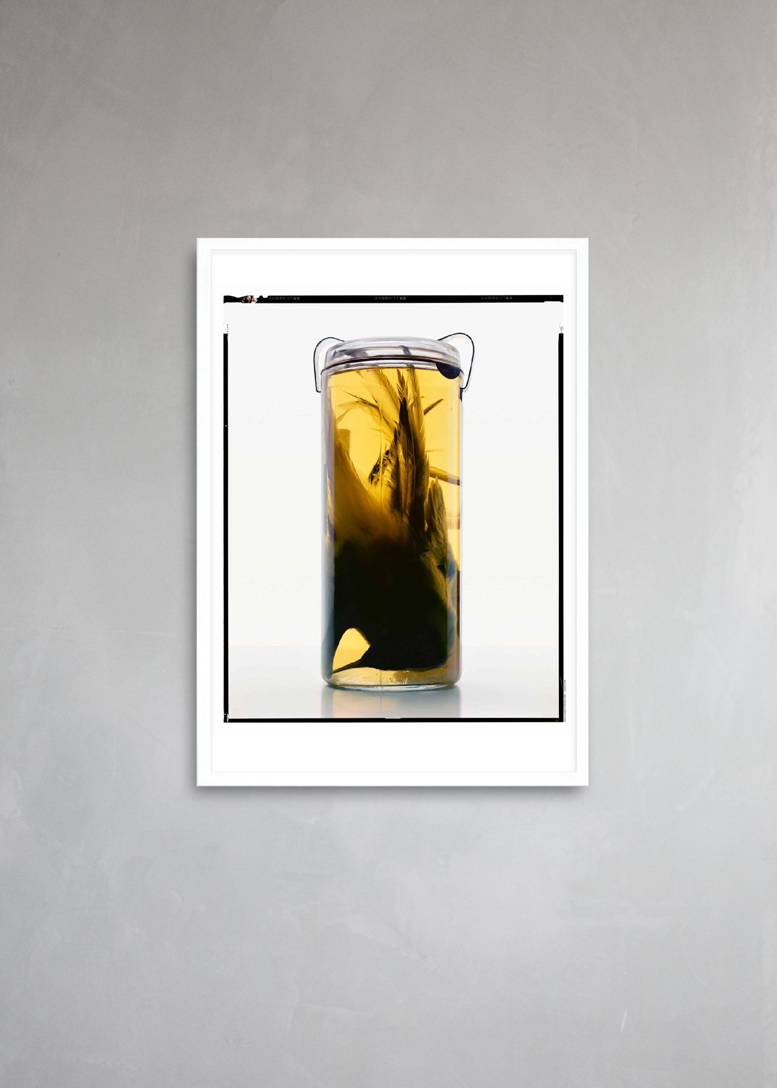 Untitled #3 “Formalinné”