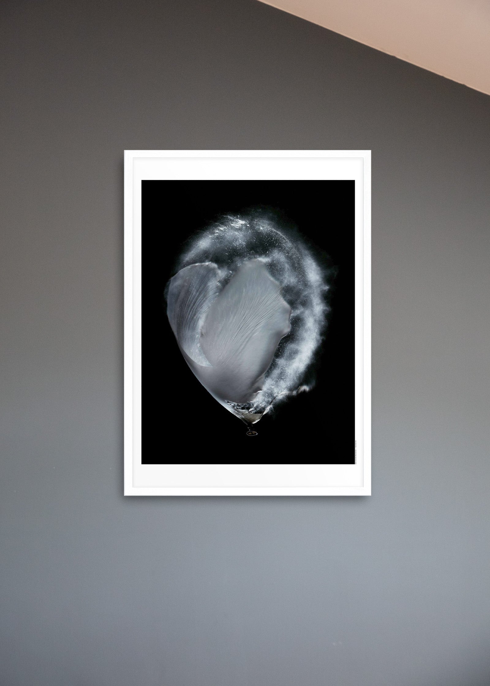 Untitled #5“Bon”