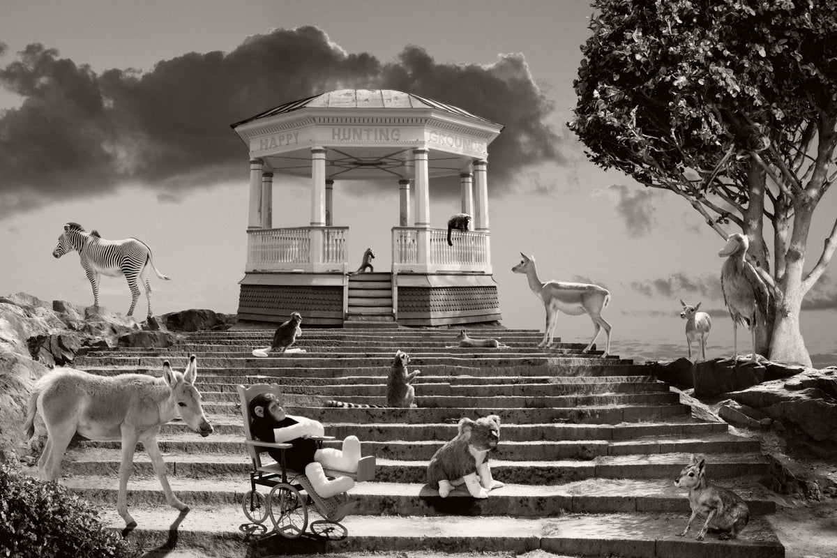 Greetings from the Happy Hunting Grounds, 2022