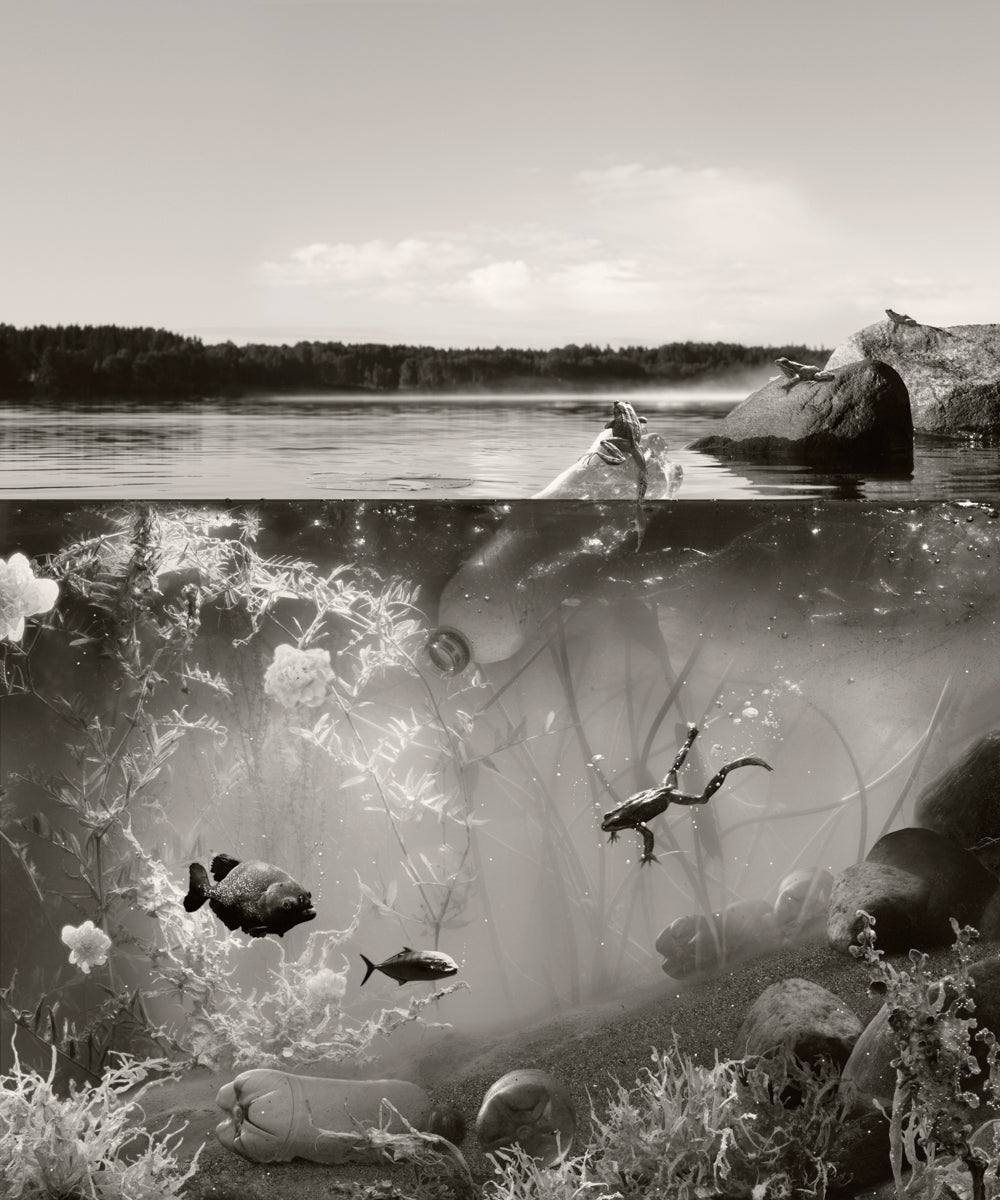 In Shallow Water, 2022