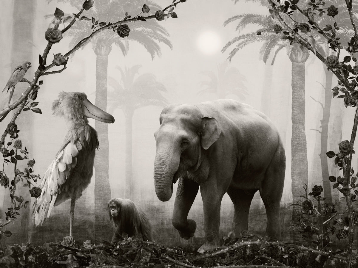 The Lost Horizon, 2022