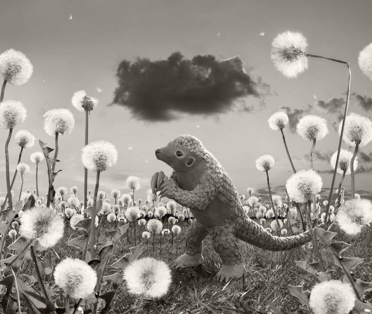 The Dark Cloud, 2022