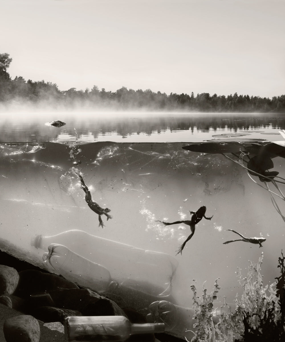 The Origin of Everything, 2022